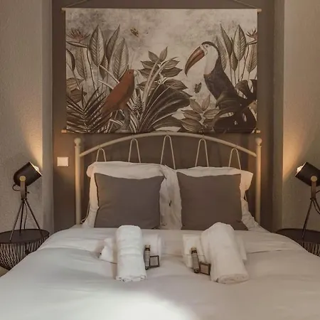Le Manoir Du Riouffe Citycenter - Charme à La Française - Congres - Clim - Wifi Cannes